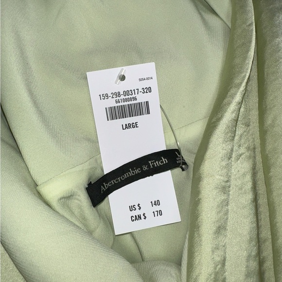 Abercrombie&Fitch Light Green Sleeveless Drape Neck Formal Long Gown size L NWT - Picture 4 of 6
